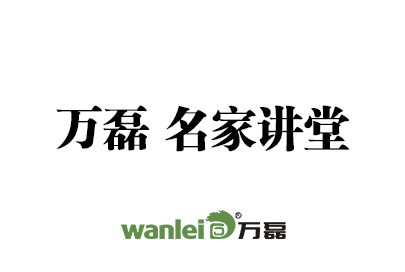 萬磊 戈壁石（洞石效果） 施工視頻